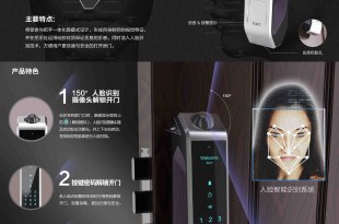 巨力 蒋俊 蔡道友－人脸识别智能锁 小